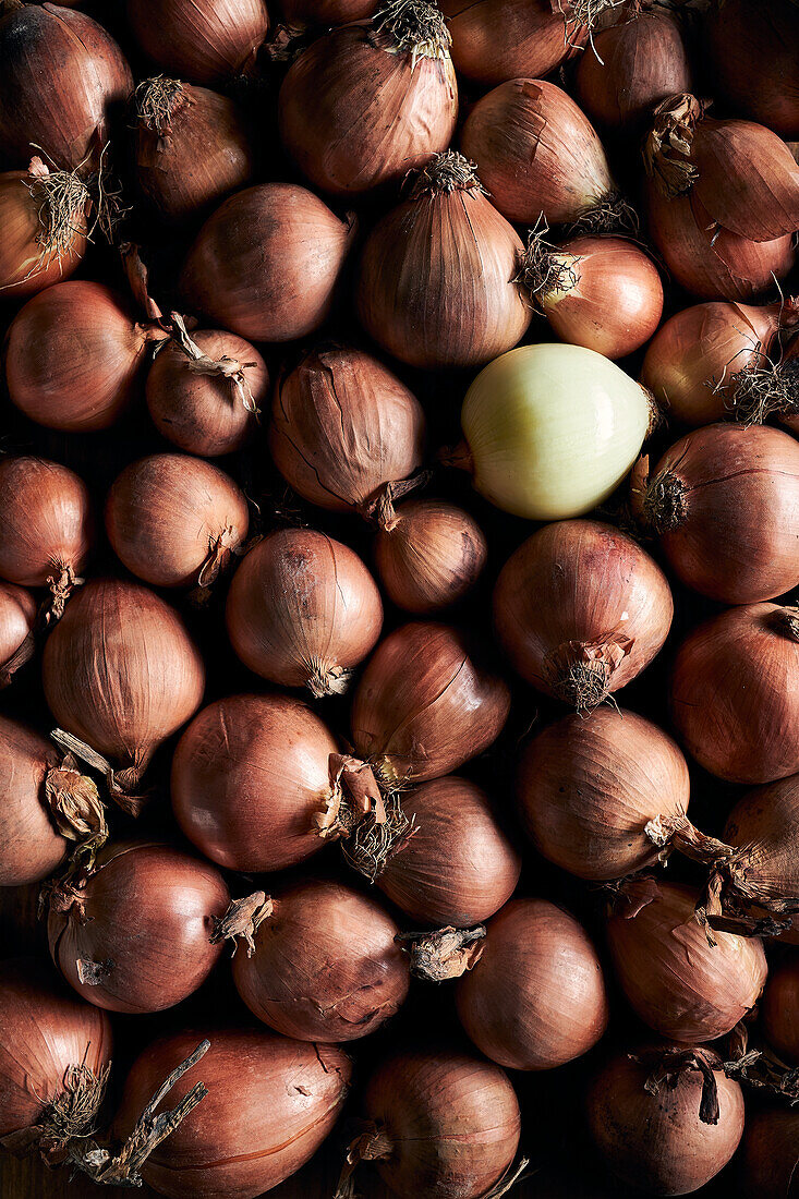 From above of many fresh whole onions with dry peel arranged in pile