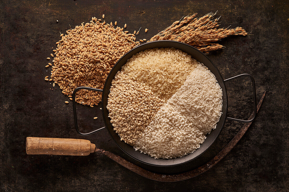 From above of bowl with assorted types of dried rice placed near bunch of ears and sickle on black background