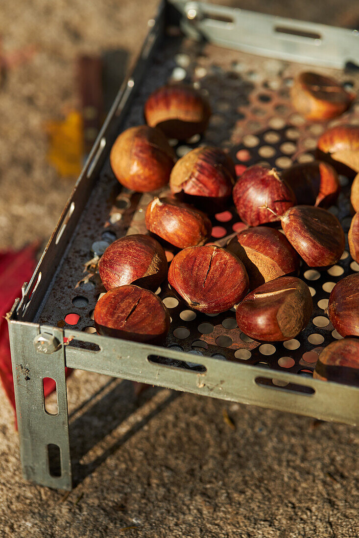 Nahaufnahme eines Stapels frischer Kastanien auf einem Metalltablett in der Nähe von trockenen Blättern auf dem Boden eines Herbstwaldes von oben