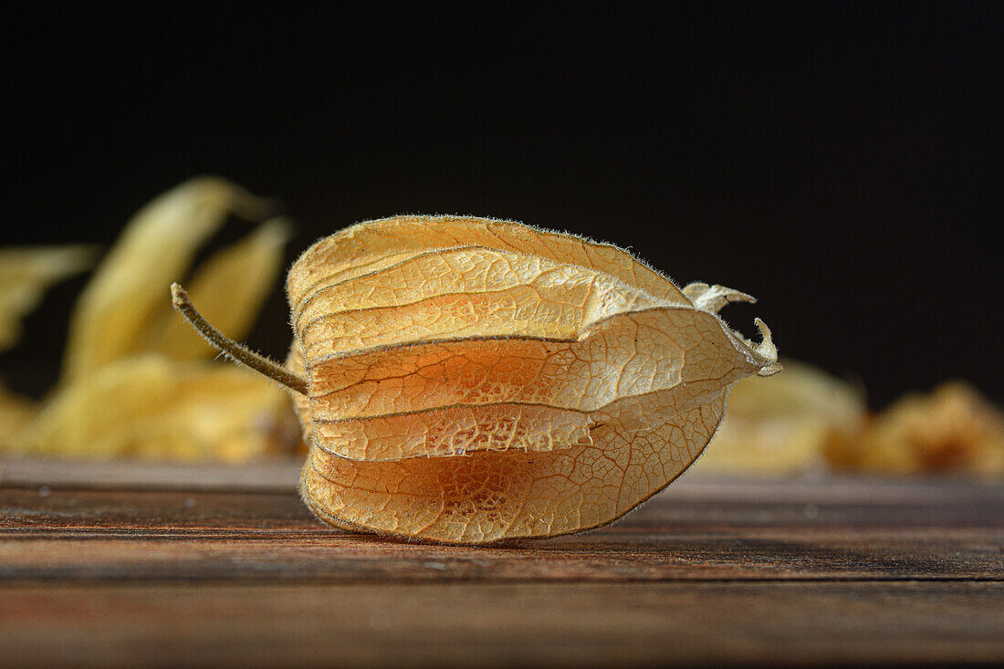 Hintergrund von Aguaymanto Peruvian GroundCherry auf dunklem Hintergrund