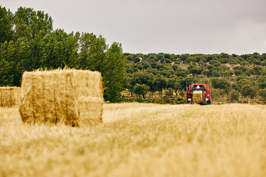 Dried hay roll and modern tractor placed on agricultural field in mountainous area in summer