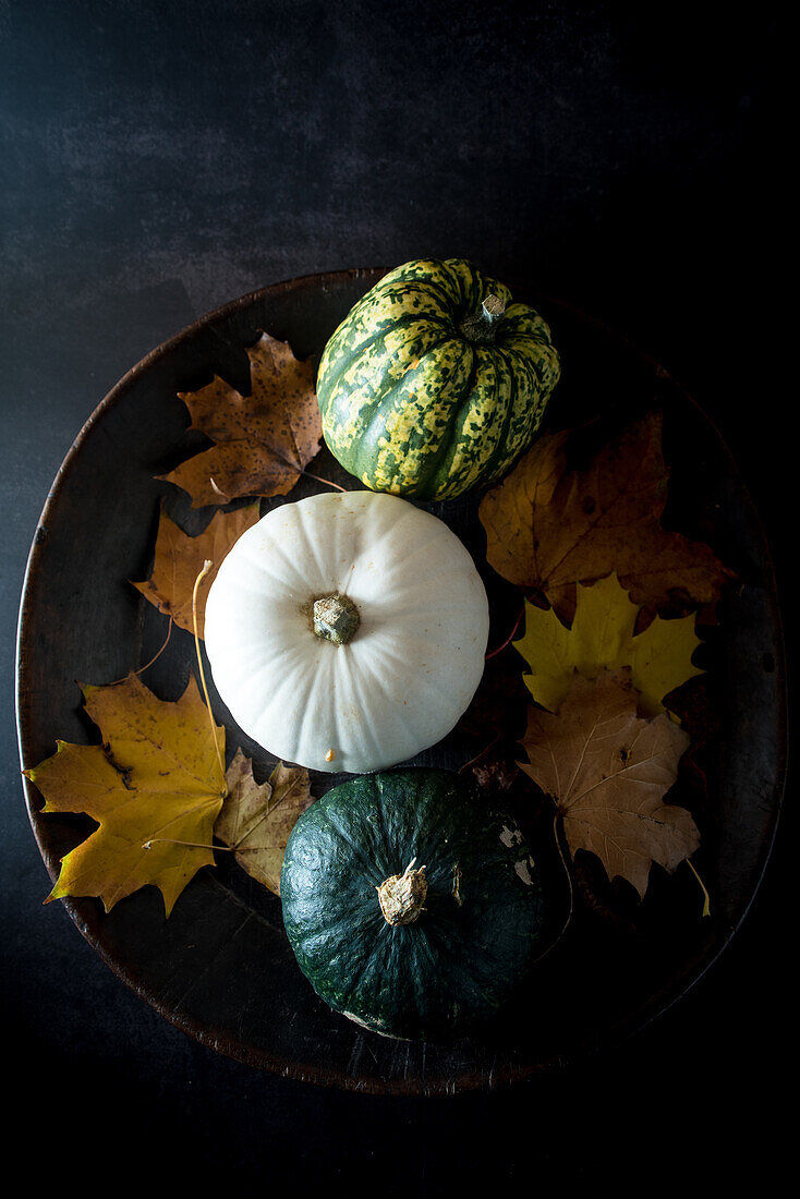 Top view still life composition with set of multicolored fresh decorative pumpkins and dry yellow foliage on bowl on black background