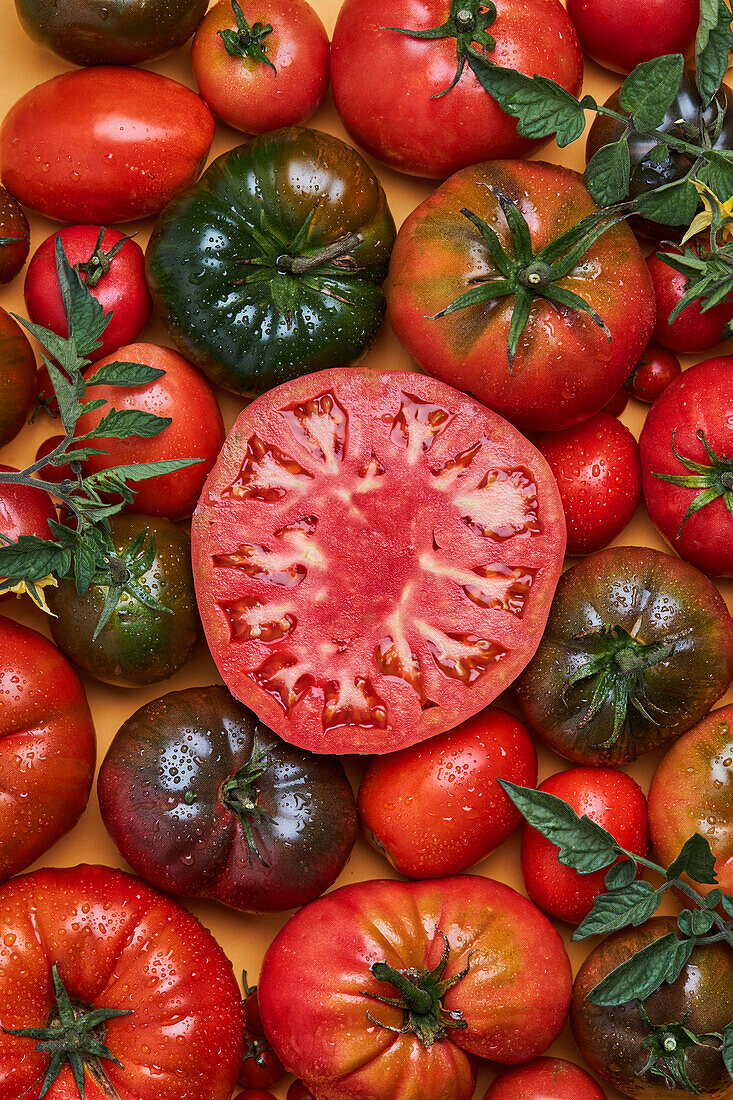 Aufgeschnittene Tomate inmitten reifer roter Tomaten mit Wassertropfen