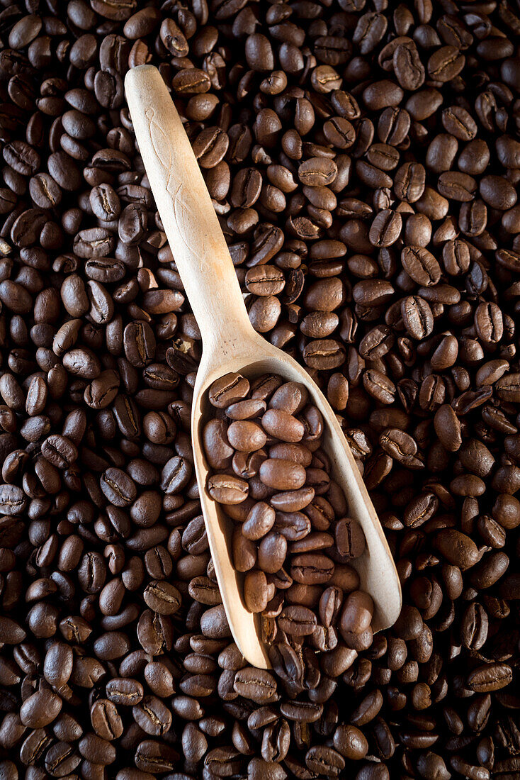 Draufsicht auf einen Haufen verstreuter, aromatisch gerösteter brauner Kaffeebohnen mit Holzschaufel