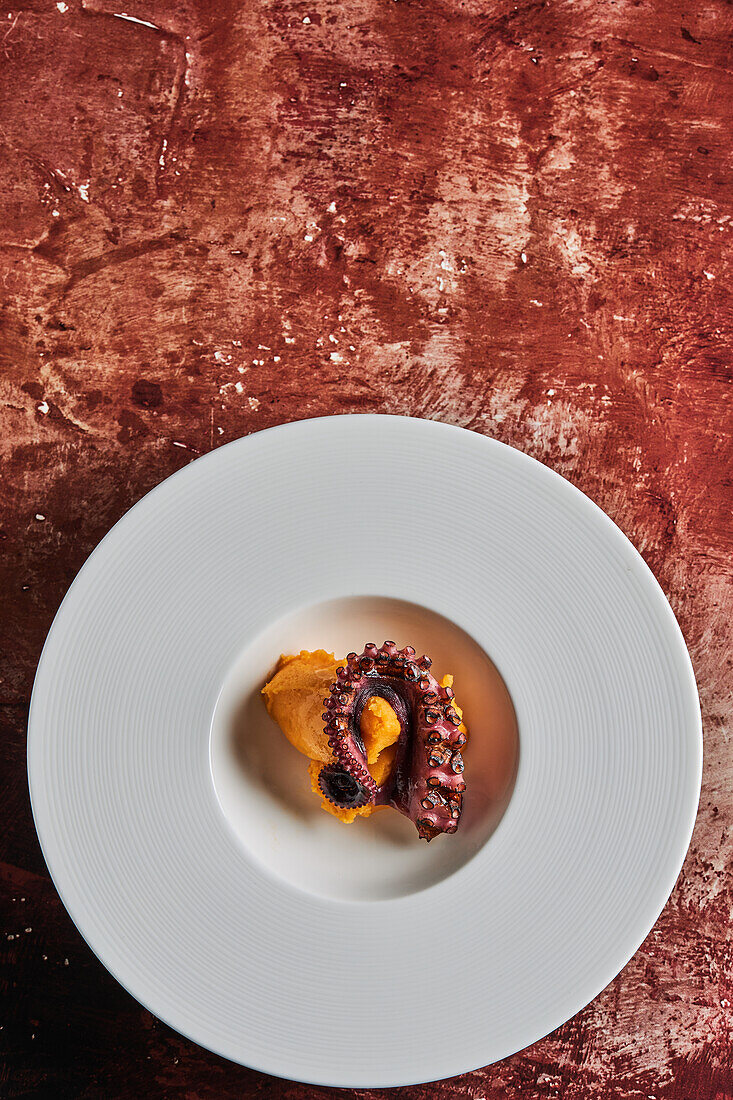 Draufsicht auf gegrillte köstliche Oktopus-Tentakel mit Kartoffelpüree, serviert auf einem weißen Keramikteller auf dem Tisch