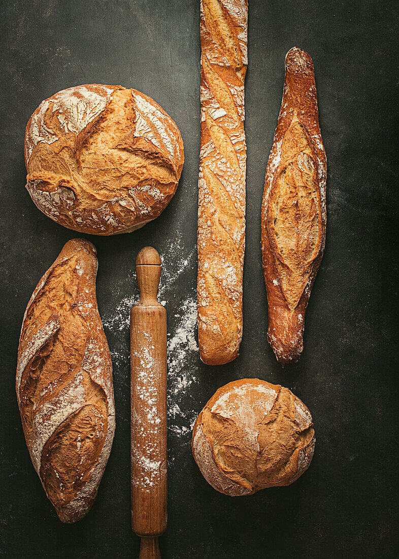 Top view composition with various typed of freshly baked crusty artisan bread loaves of different shapes placed near wooden rolling pin on black background