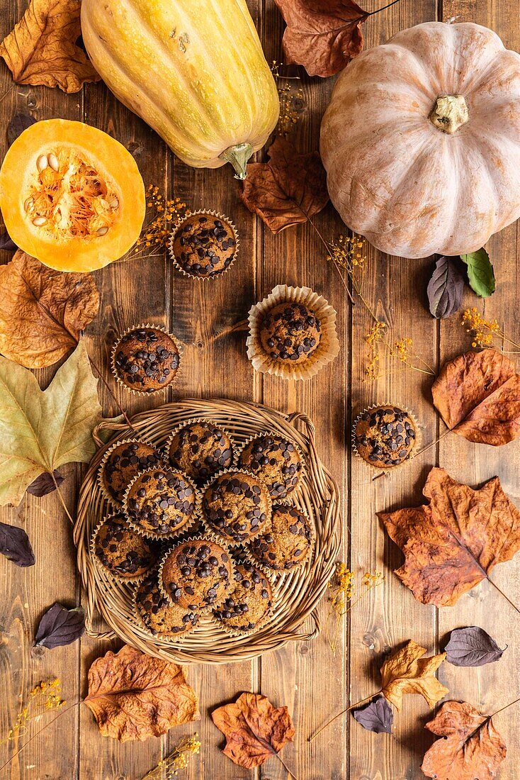 Draufsicht auf eine Komposition aus appetitlichen Muffins mit Schokoladenstückchen auf einem Holztisch zwischen Herbstblättern und Kürbissen