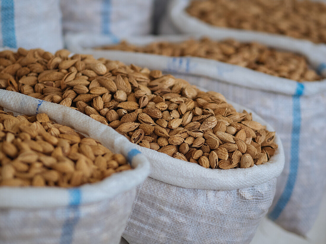 Pile of delicious pistachios placed in plastic bags on stall with various types of nuts in market