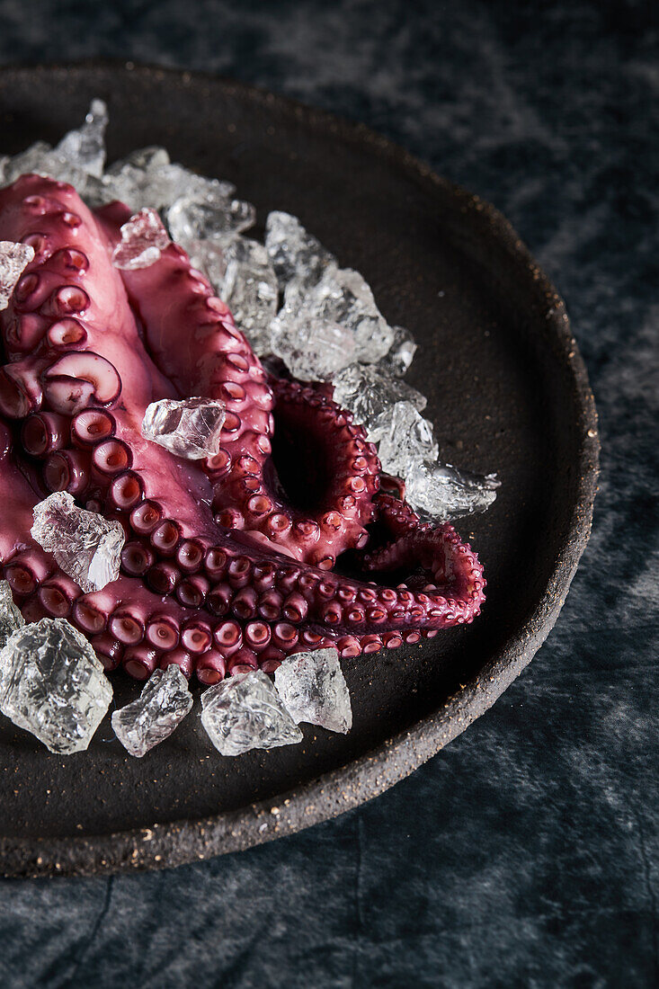 From above of delicious appetizing cooked octopus placed on round ceramic plate with ice cubes