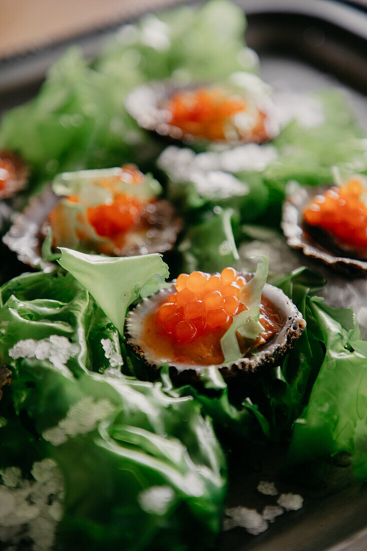 Von oben Delikatessen exquisite Austern in Muscheln mit Meersalz Seetang und Kaviar