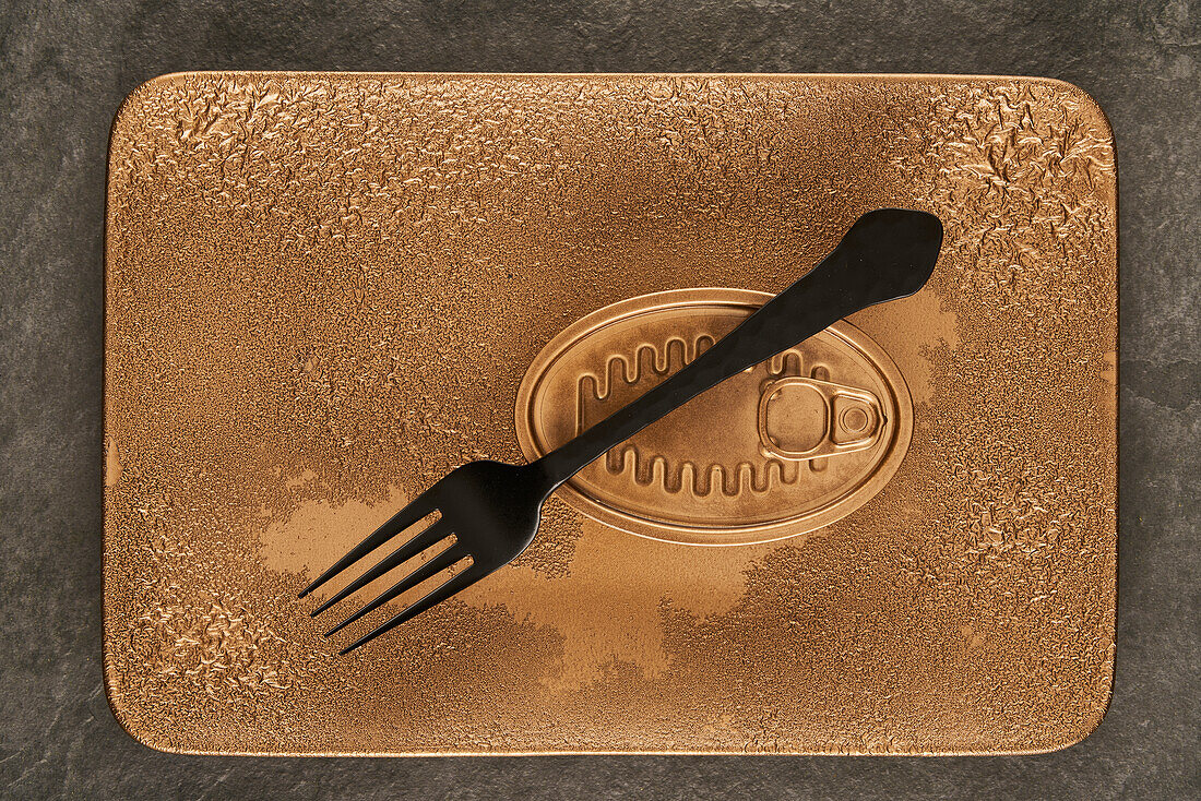 Top view of black fork placed near sealed canned food on rectangular copper tray