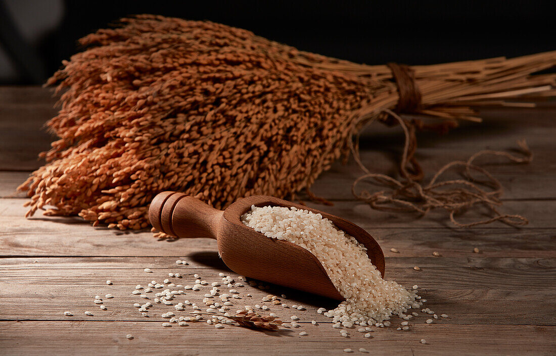 Top view of wooden grain scoop with pile of scattered white rice on wooden table near tied bunch of dry wheat ears