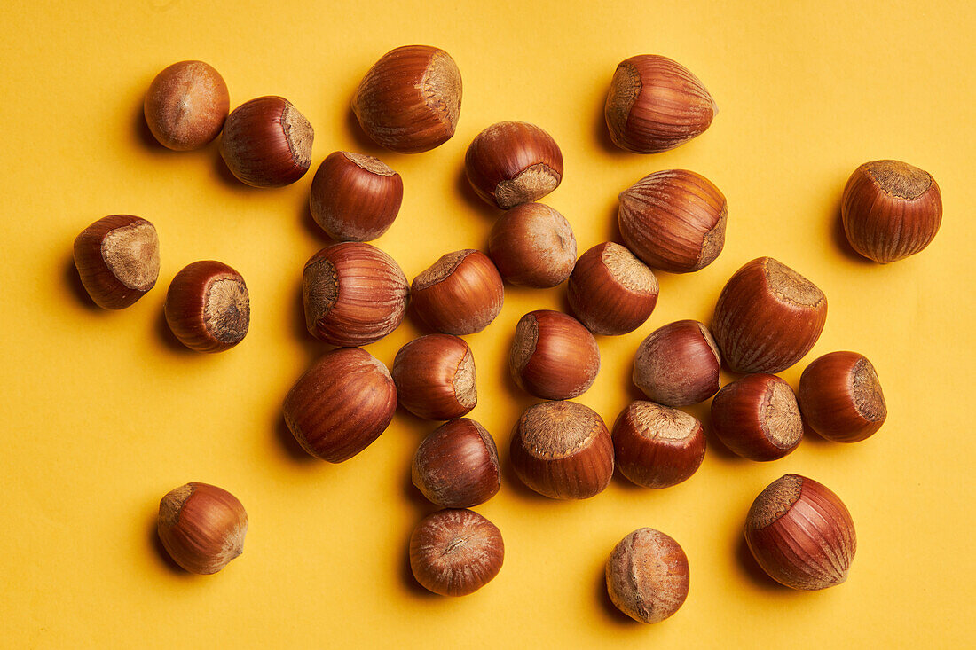 Top view of many whole hazelnuts in shells scattered on bright yellow background
