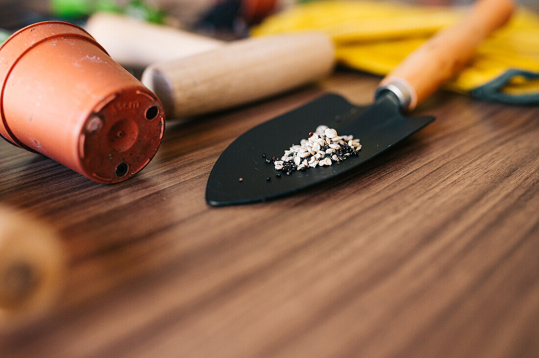 Flachbild von kleinen Gartengeräten mit Handschuhen und Blumentopf mit Pflanzen auf Holztisch