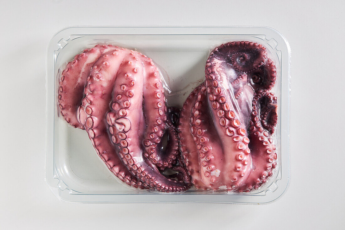 Top view of raw pink octopus placed in plastic box on white background