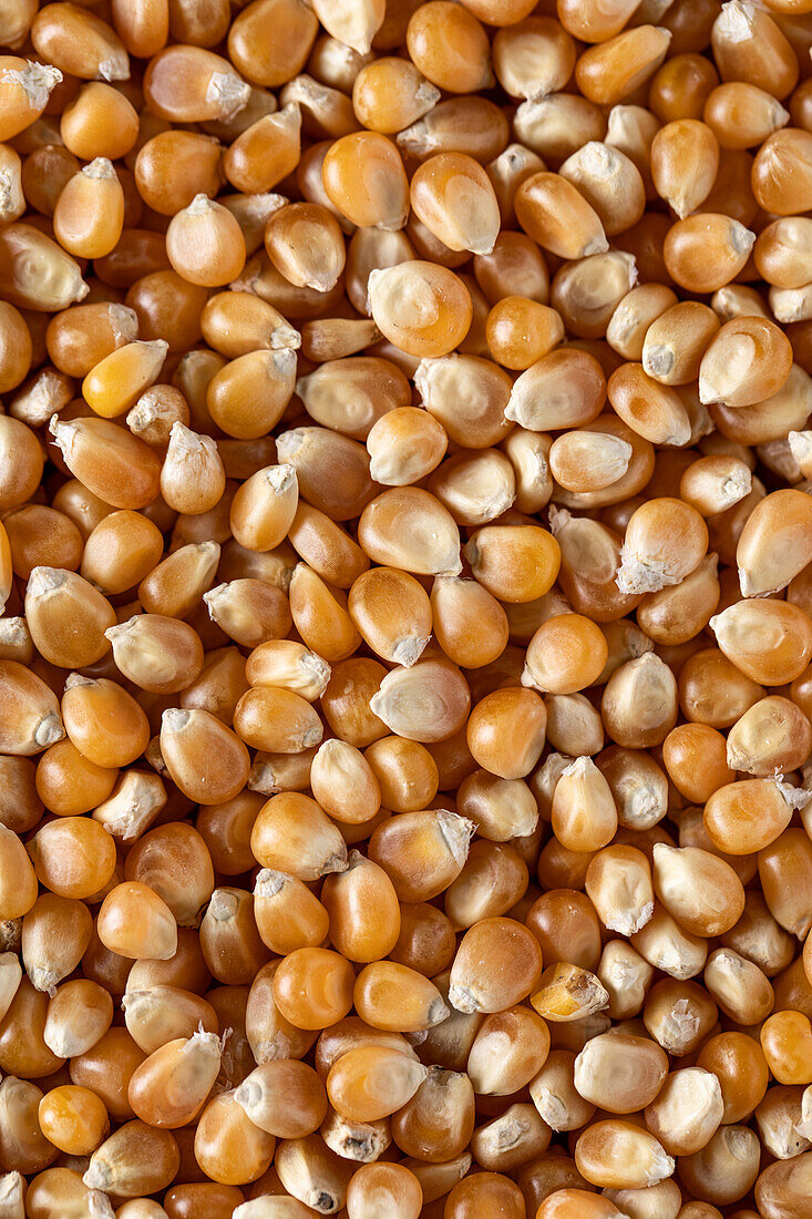 Full frame background top view of raw yellow corn seeds scattered on surface
