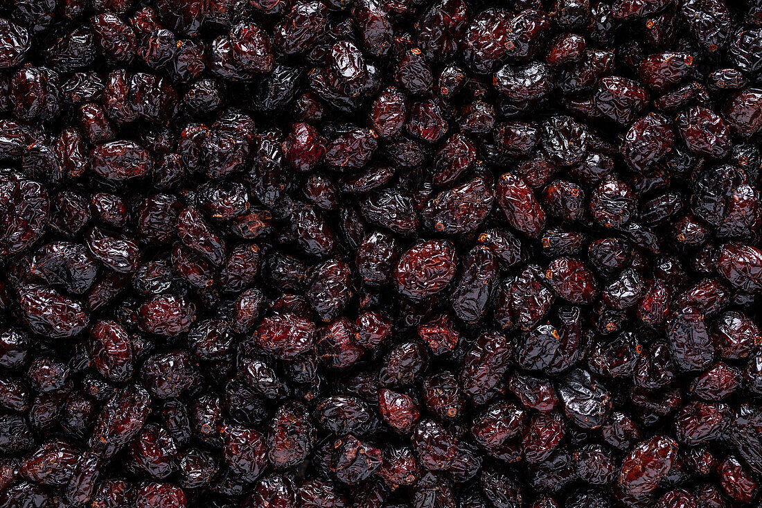 Full frame closeup of fresh dehydrated blueberry placed on surface and reflecting daylight