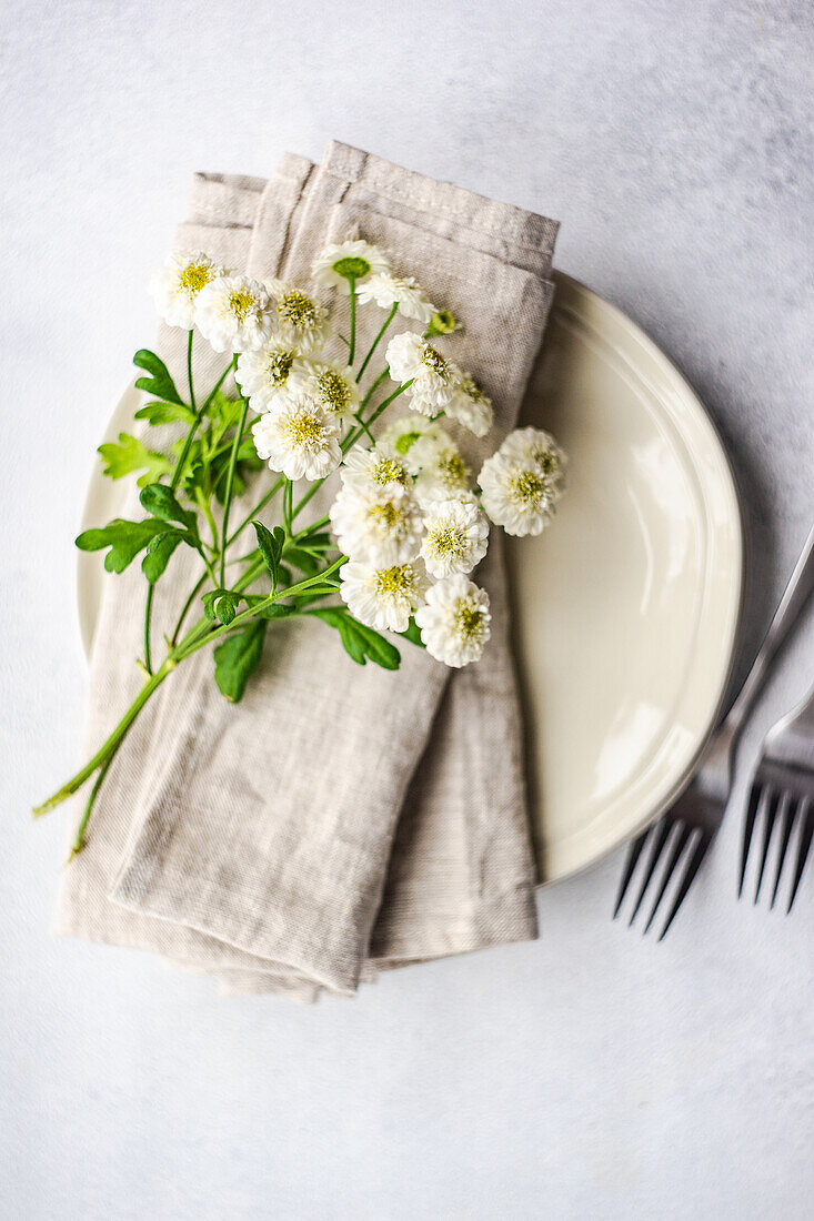 From above mini aster flowers in the plate set decor on concrete table