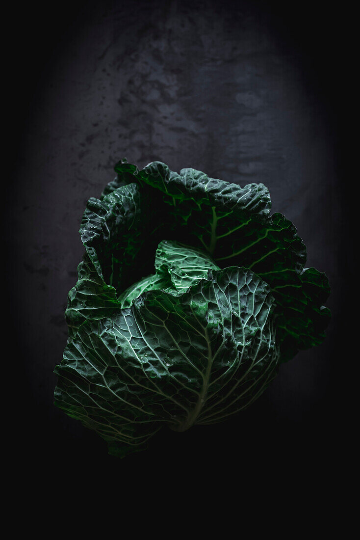 From above dramatic image of green fresh cabbage over dark background