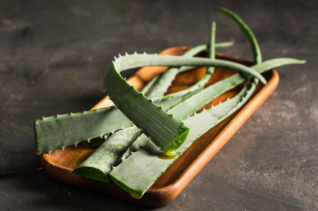 Aloe vera Blätter auf dunklem Hintergrund