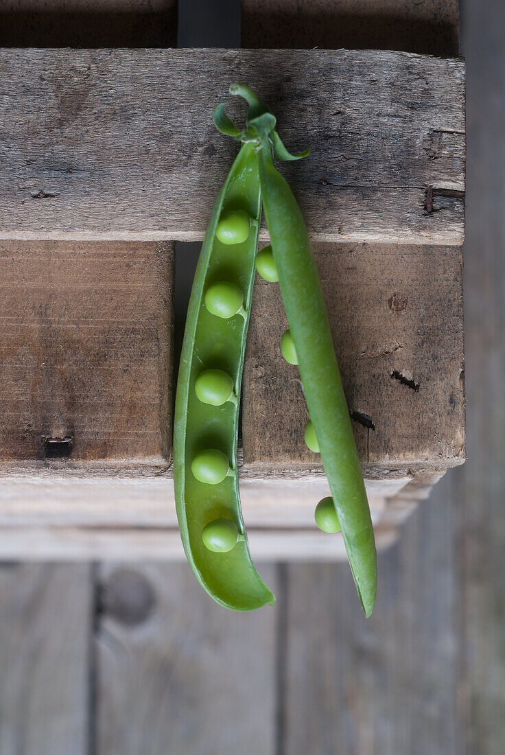 From above closeup view of fresh opened pod with shiny peas on wood