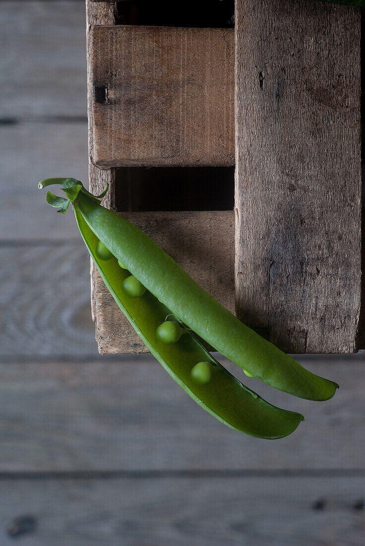 From above closeup view of fresh opened pod with shiny peas on wood