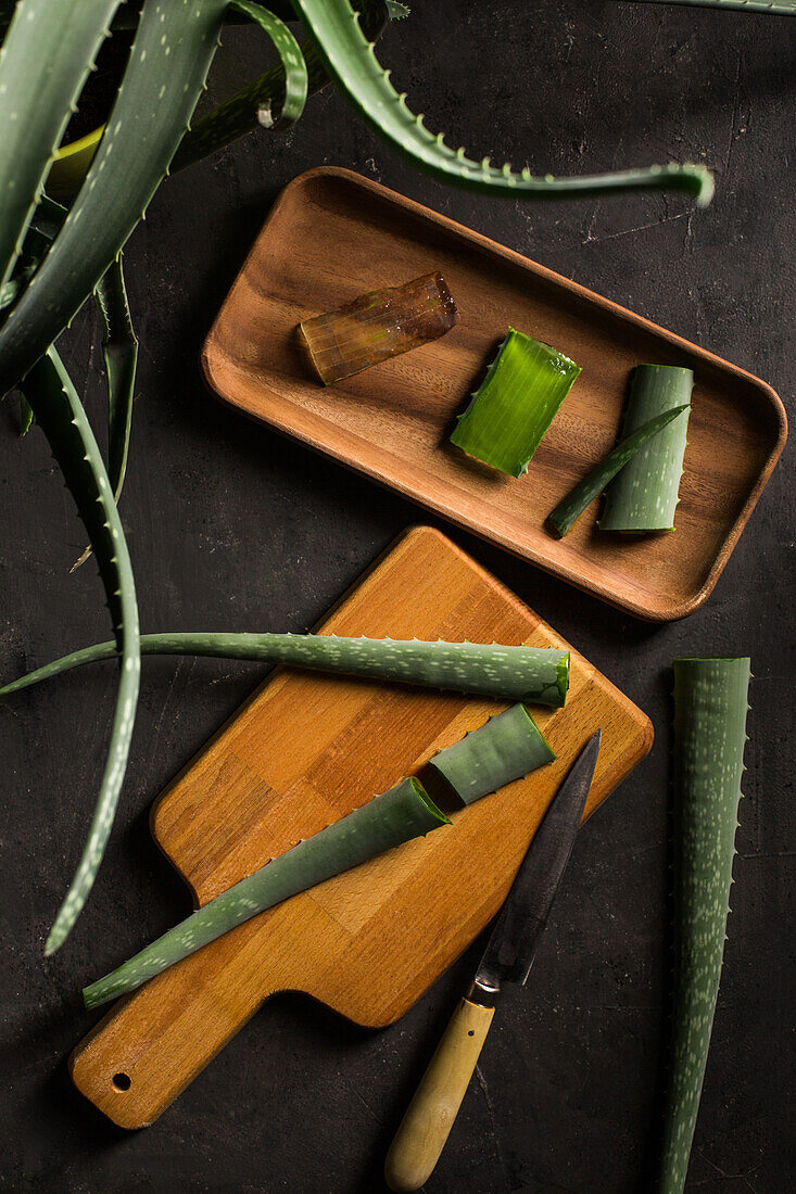 Aloe vera leaves on dark background