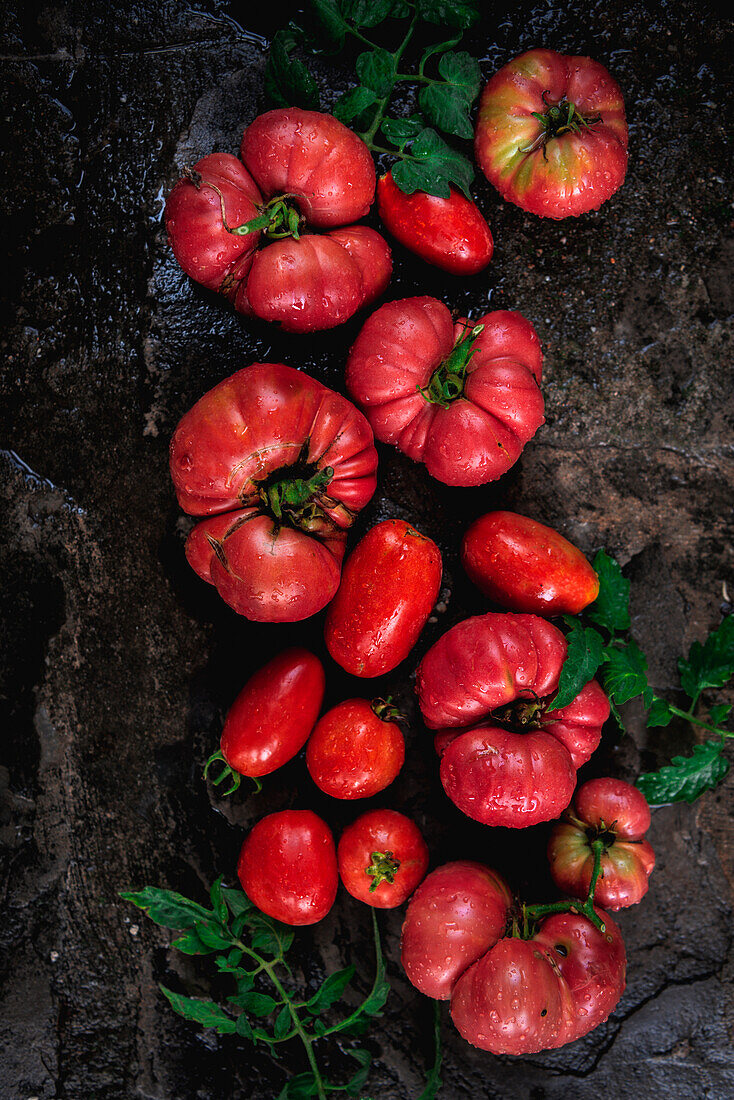 Diverse Fresh Tomatoes Over Black Board