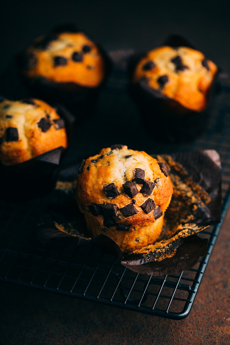 Schokoladenmuffins auf Kühlregal vor dunklem Hintergrund
