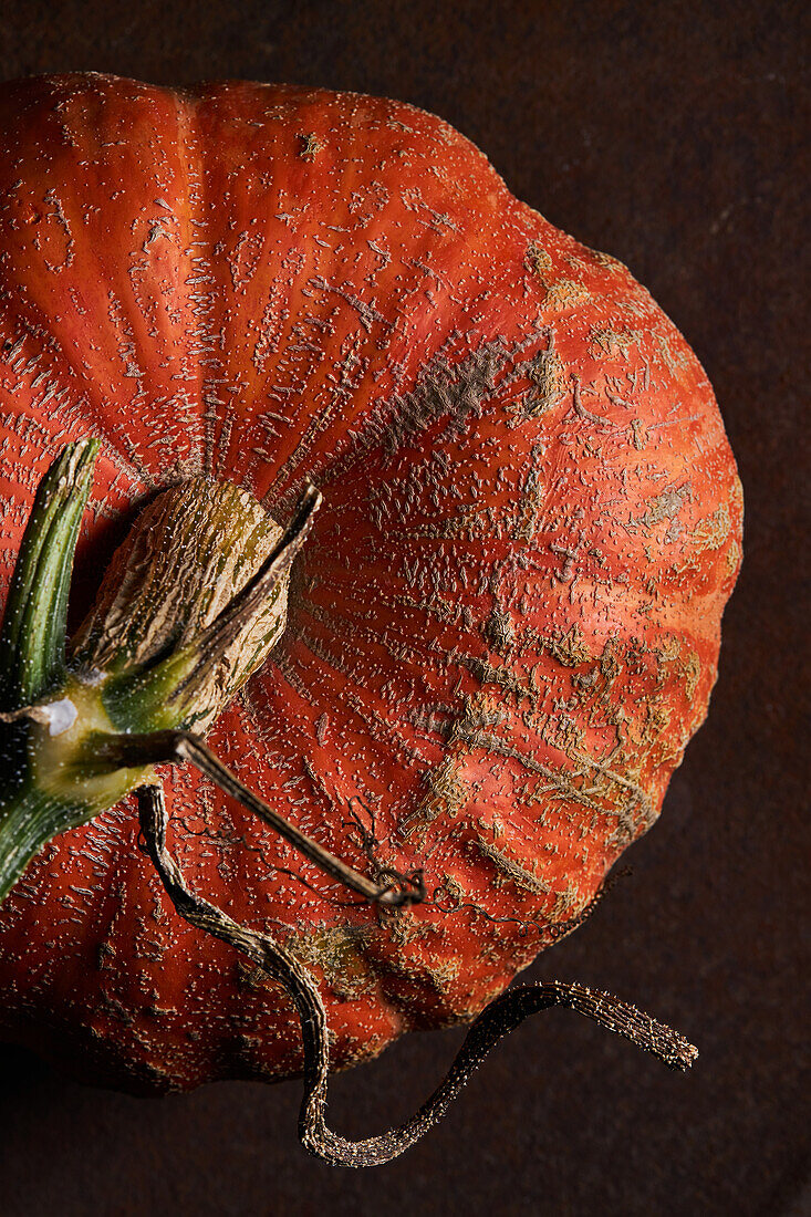 From above whole ripe pumpkin with slightly ribbed skin placed on wooden table