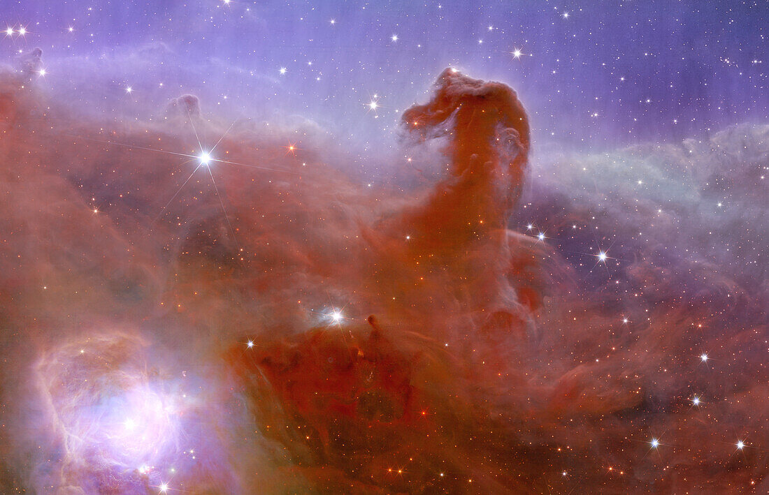 Horsehead Nebula, Euclid image