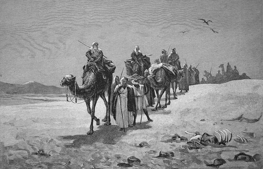 Arabian caravan, illustration