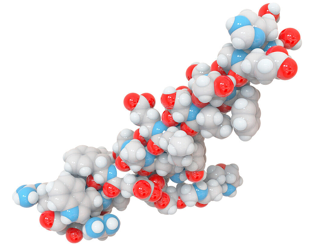 Antidiabetic drug semaglutide molecular structure, illustration