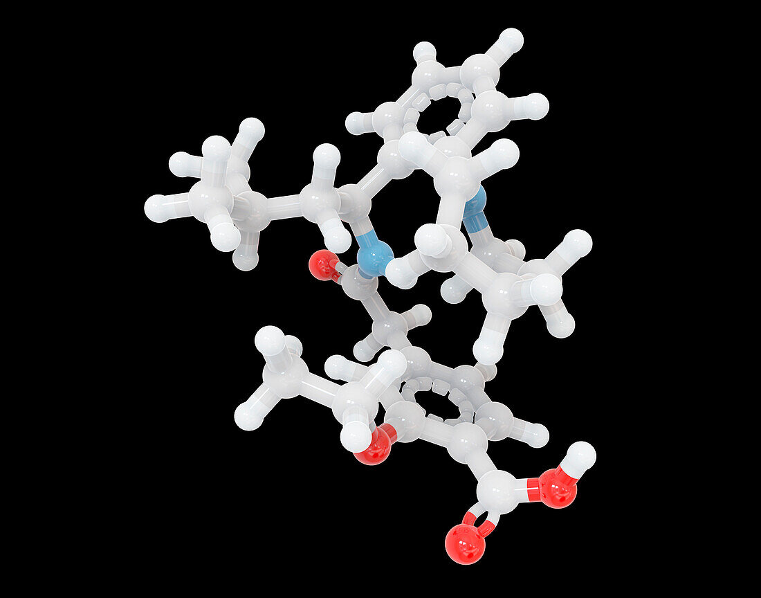Repaglinide molecular structure, illustration