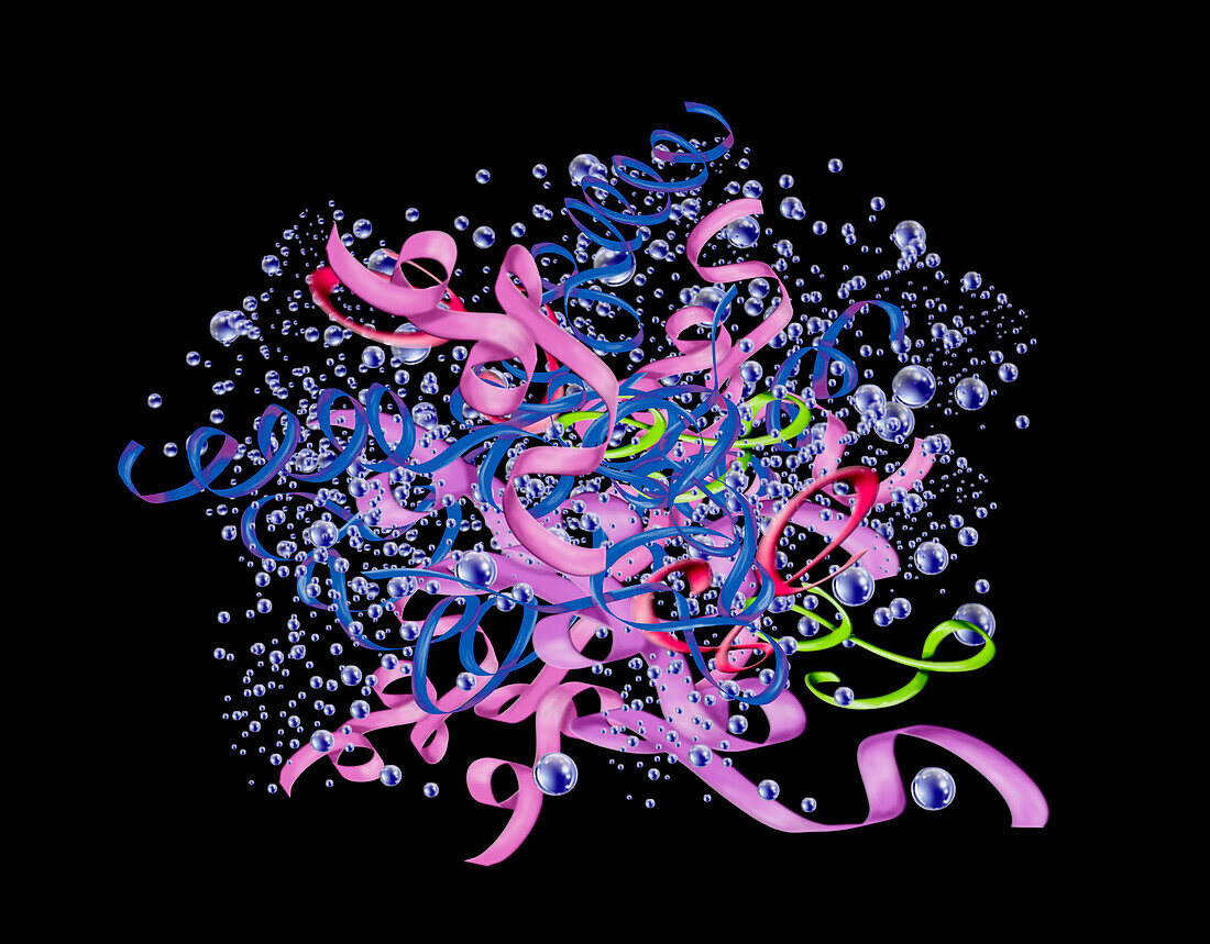 Haemoglobin, illustration