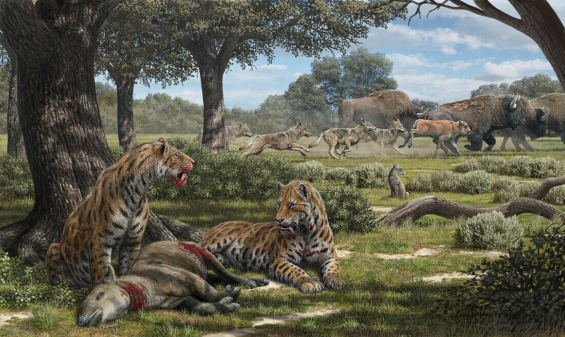 Late Pleistocene, Rancho La Brea, California, USA, Illustration