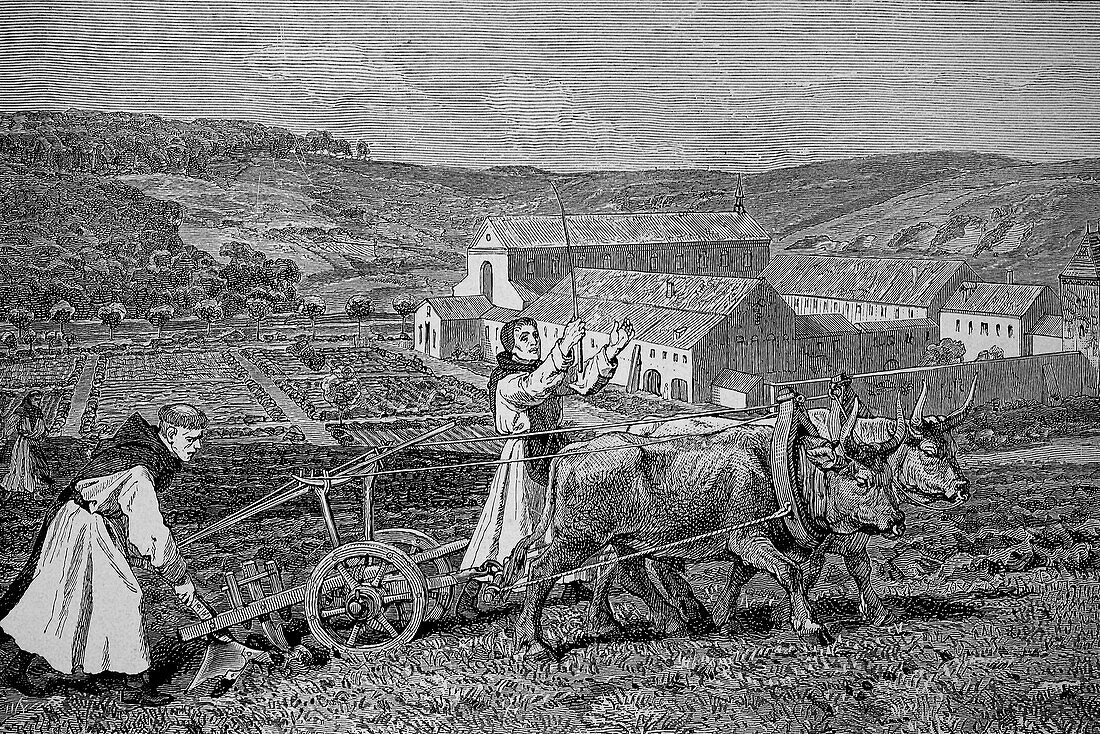 Cistercian monks ploughing a field, illustration