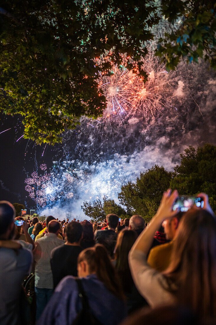 People watching fireworks display