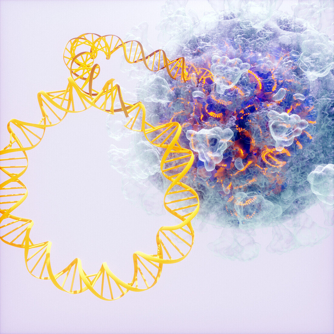 DNA vaccine, conceptual illustration