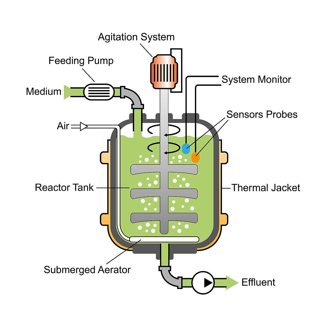 Bioreactor, illustration