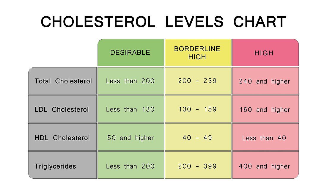 Cholesterol level chart, illustration