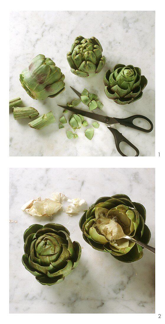 Preparing artichokes, Florentine style