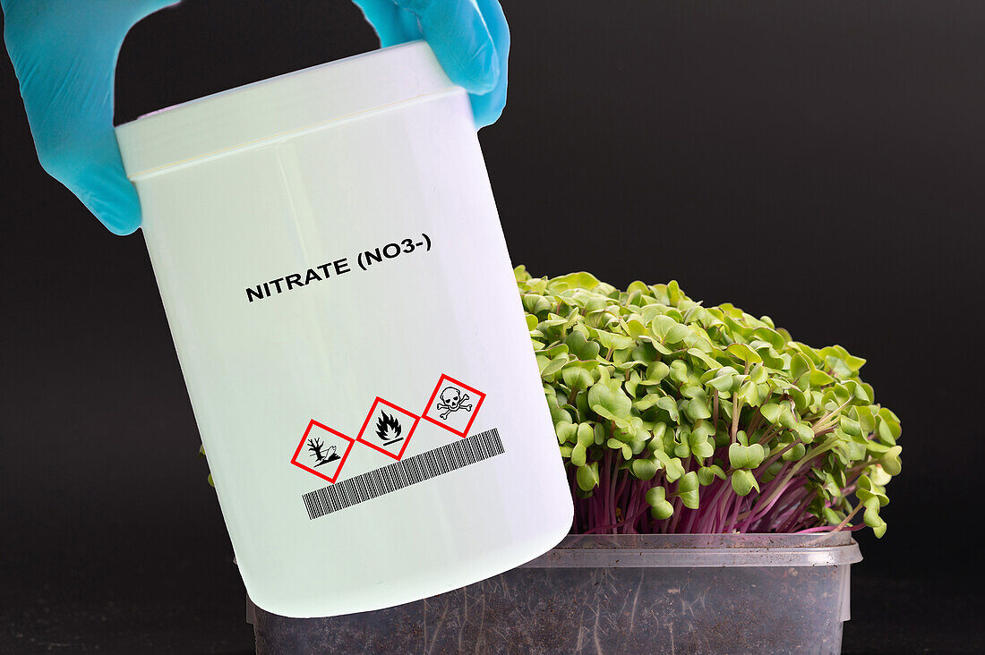 Container of nitrate