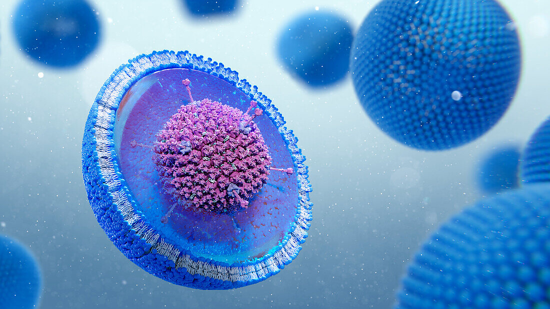 Adenovirus gene therapy liposome, illustration