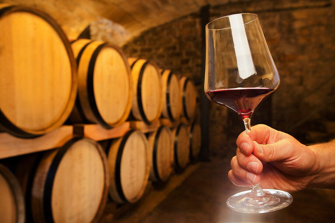 Hand hält ein Glas mit Rotwein in einem Weinkeller mit Holzfässern