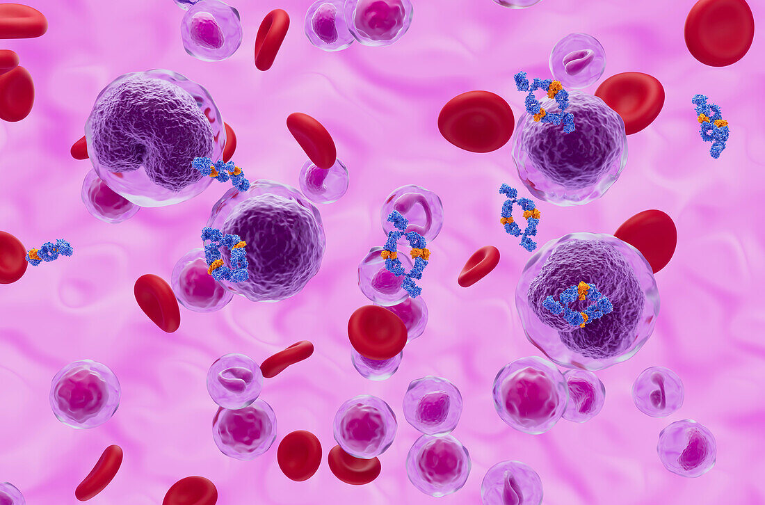 Monoclonal antibody treatment of non-Hodgkin's lymphoma cells, illustration
