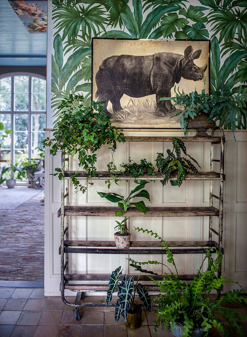 Plant shelf with vintage rhinoceros print in front of tropical wallpaper