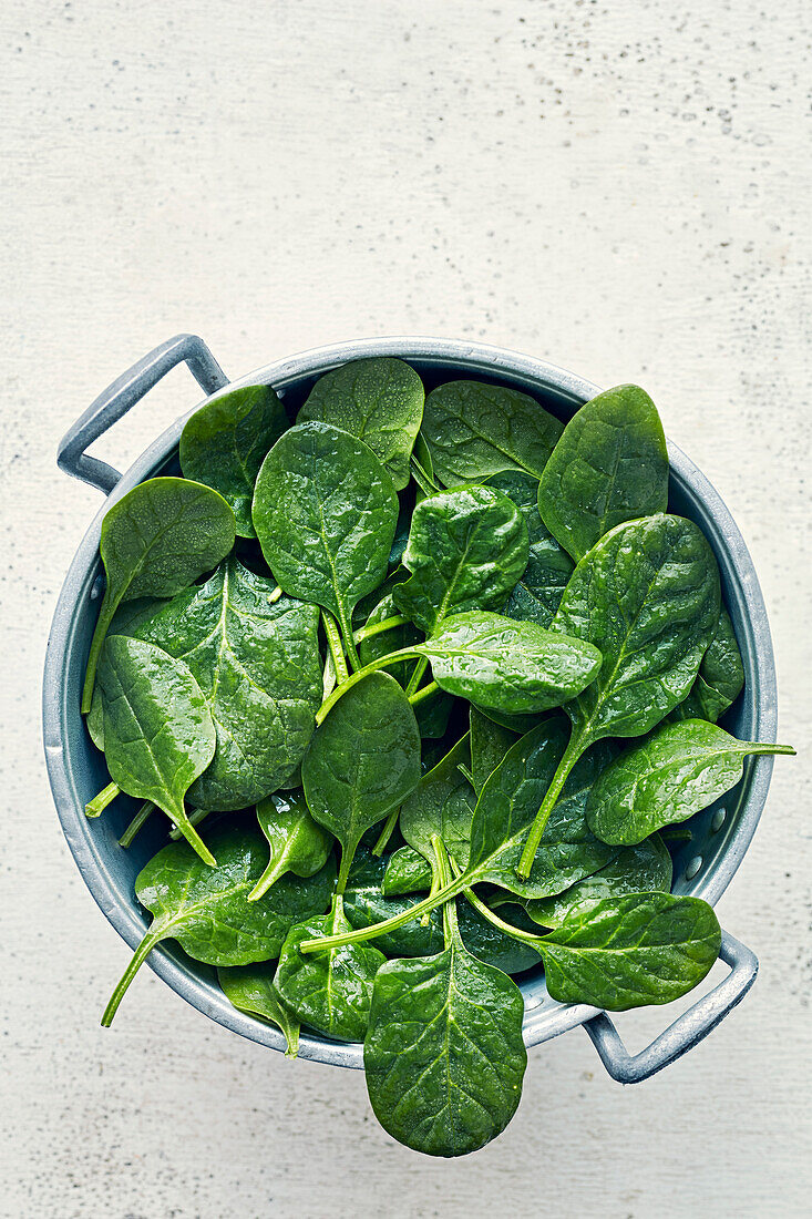 Young, washed spinach leaves in a colander