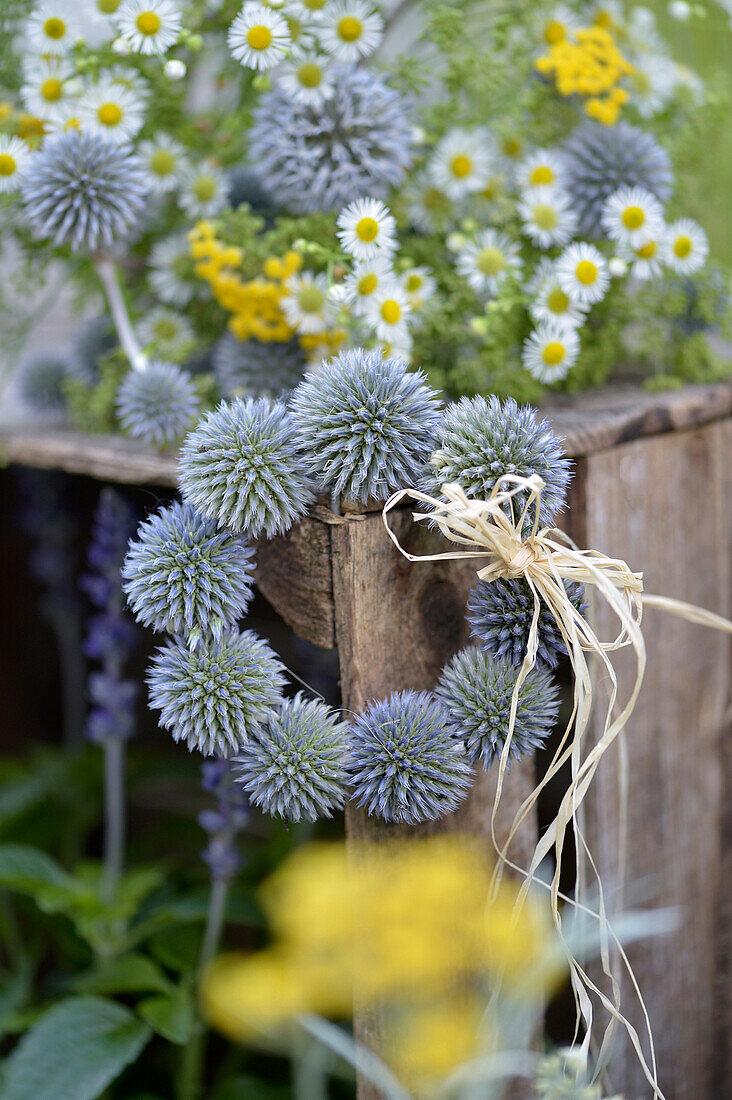 Wreath of globe thistles (Echinops) on a wooden box in the garden