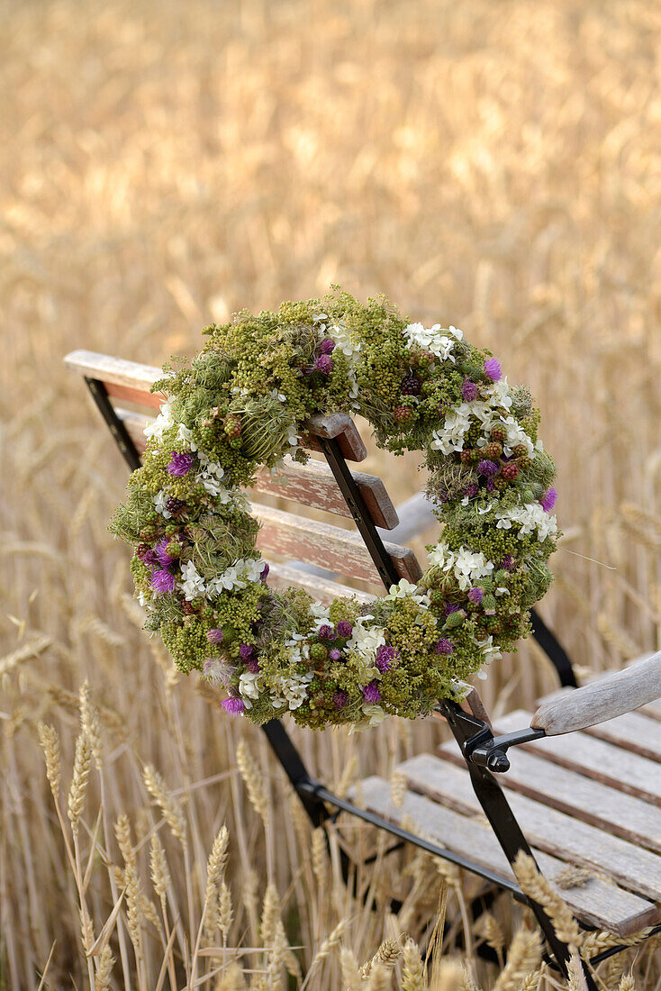 Spätsommerkranz mit verschiedenen Samenständen, Brombeeren, Artischockenblüten und Hortensien (Hydrangea) auf Gartenstuhl im Getreidefeld